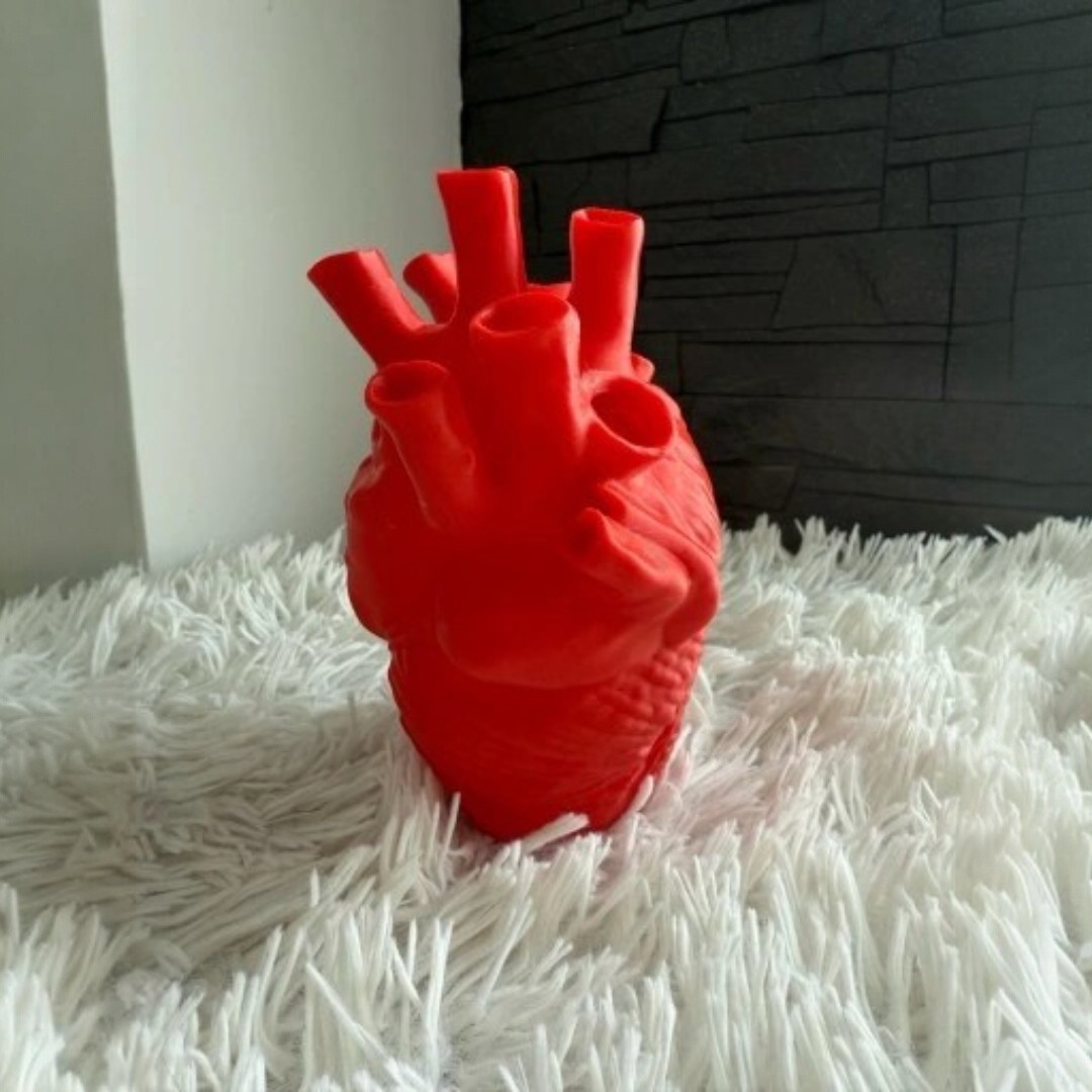 Anatomical heart flower Base 