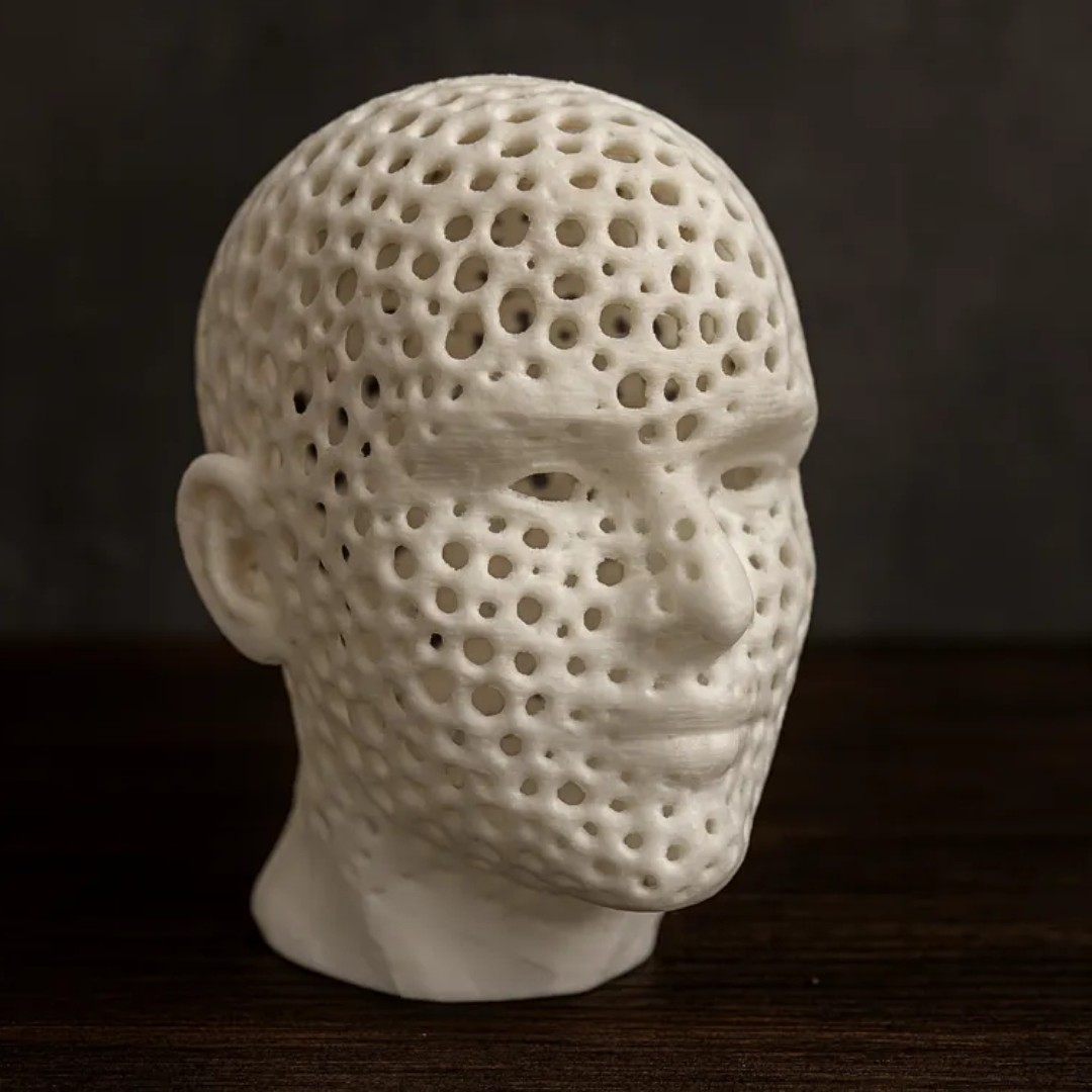 Human head voronoi